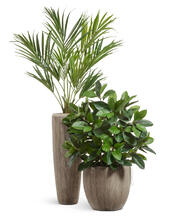 Кашпо TREEZ Effectory - Wow - Высокий конус Design - Капучино 41.3321-06-049-BB-075, 41.3321-06-049-BB-097, 41.3321-06-049-BB-117 9